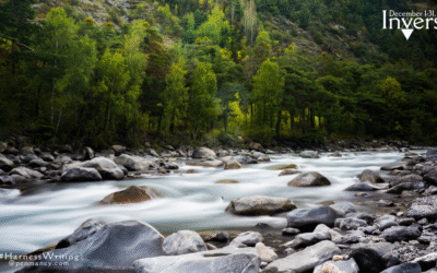 The Curtain Of Guilt (Inverso)
